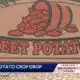 Sweet Potato Crop Drop
