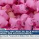 Centennial Plaza hosts 2023 Inaugural Bacon Bit Pig Race