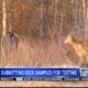 Mississippi hunters are testing their deer for Chronic Wasting Disease