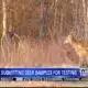 Mississippi hunters are testing their deer for Chronic Wasting Disease