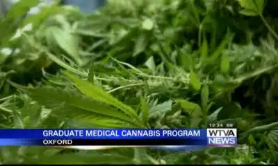 Interview: Ole Miss offering medical cannabis graduate program