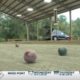 Bocce ball courts in Woolmarket get new improvements, allowing evening play