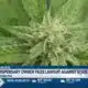 Medical marijuana dispensary owner files suit in Mississippi over advertising ban