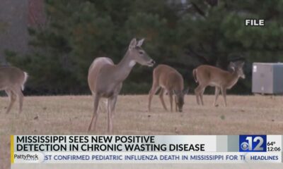 Positive case of Chronic Wasting Disease detected in Marshall County