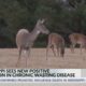 Positive case of Chronic Wasting Disease detected in Marshall County