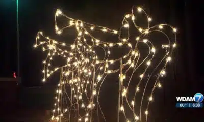 Christmas in the Park in Collins