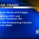 Horse dies in traffic accident in Pontotoc County