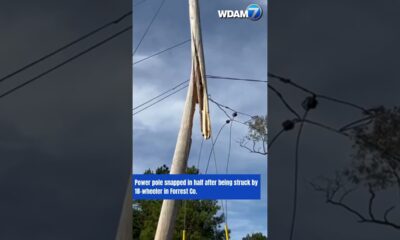 Power pole snapped in half after being struck by 18-wheeler in Forrest Co #news #shorts