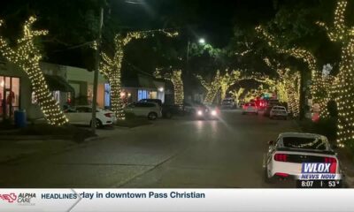 Lighting up of the oaks in Ocean Springs