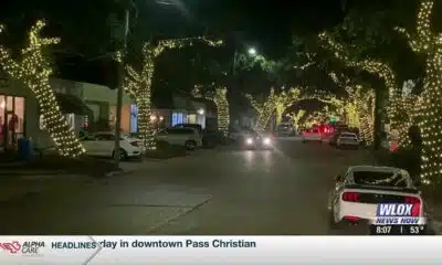 Lighting up of the oaks in Ocean Springs
