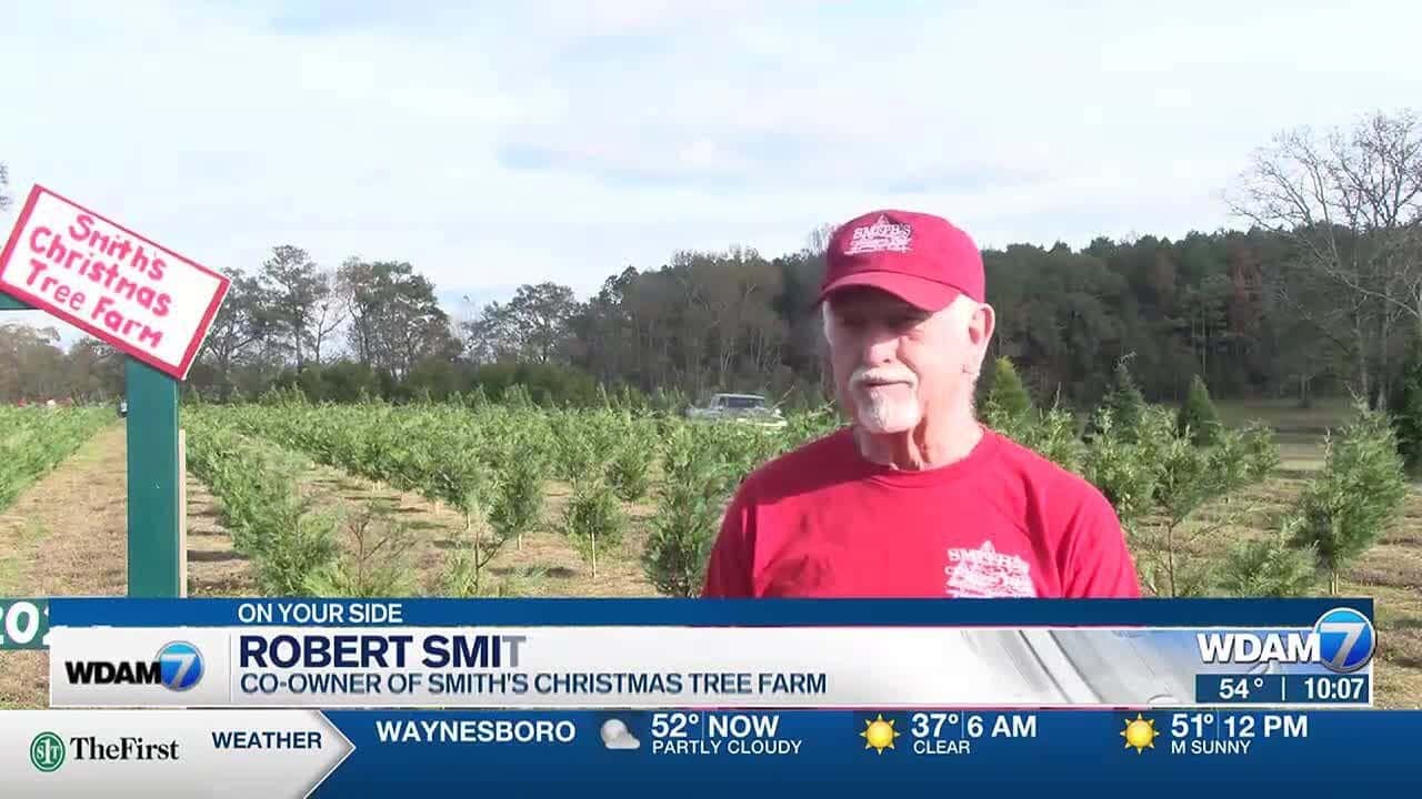 Christmas tree sales season about to boom