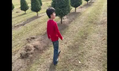 Focused on Mississippi: Rosebud Christmas Tree Farm
