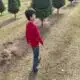 Focused on Mississippi: Rosebud Christmas Tree Farm