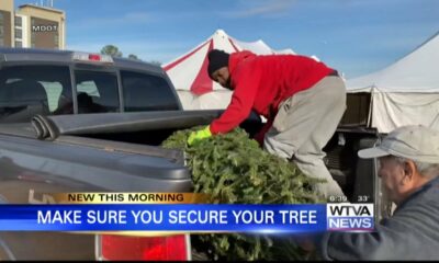 The Mississippi Department of Transportation wants to make sure your trees make it home