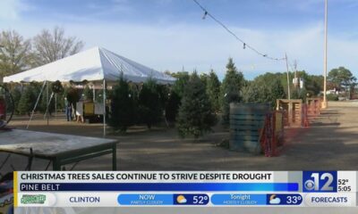 Christmas tree sales in Hattiesburg thrive despite drought
