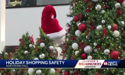 Holiday Shopping Safety Tips