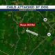 Child attacked by dog in Rankin County