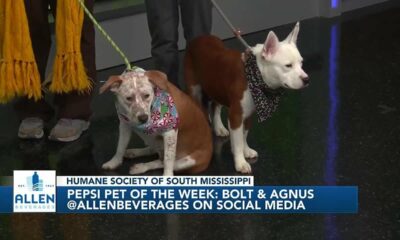 Pepsi Pet of the Week: Bolt & Agnus (11/28/2023)