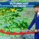 Meteorologist Trey Tonnessen: "Surface Analysis" 6PM Forecast
