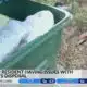 Jackson woman claims garbage is not being picked up