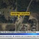 Second suspect arrested in Laurel One Stop shooting