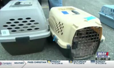 Rescue pets ride north to eager owners