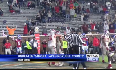 Unbeaten Winona wins 3A state title game