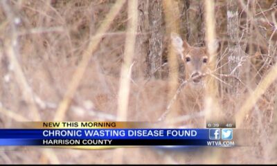 Chronic wasting disease detected in Harrison County