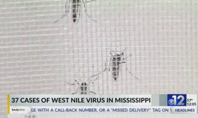 Mississippi reports 37 human cases of West Nile Virus