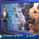 Some holiday foods are not safe for pets
