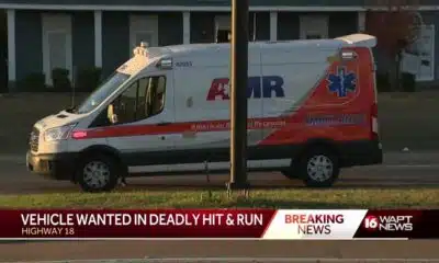 Deadly Hit and Run
