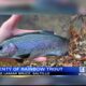 MDWFP stocks Saltillo lake with rainbow trout