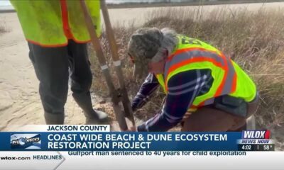 Phase one underway for Coast Wide Beach & Dune Ecosystem Restoration Project