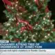 Thousands attend Tree of Remembrance at Jones Park