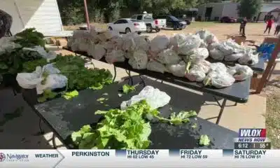 United Way of South Mississippi providing fresh food for Stone County residents
