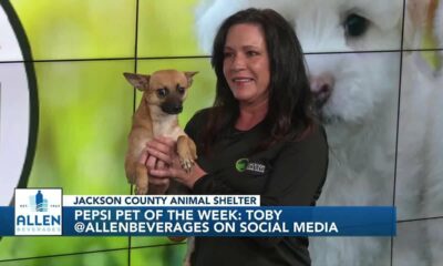 Pepsi Pet of the Week: Toby (12/5/2023)