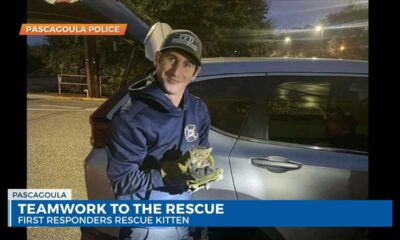 Pascagoula first responders team up to save tiny kitten