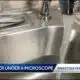 Water Investigative Report