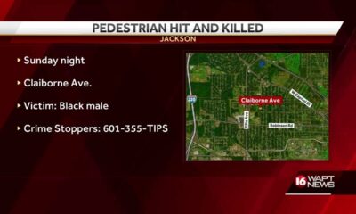 Pedestrian Hit & Killed