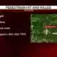 Pedestrian Hit & Killed