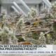 Southern Sky opens medical marijuana processing facility in Canton