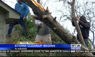 Storm cleanup begins in Alabama