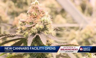 Cannabis Manufacturing Facility