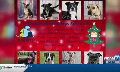 Hub City Humane Society Christmas stockings