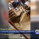 Deer crashes through restaurant in Pontotoc