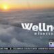 Wellness Wednesday - Joy to the World: Profound lessons in joy from Viktor Frankl, Gandhi and MLK
