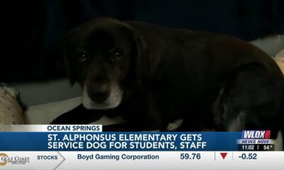 Therapy dog is a hit at St. Alphonsus Catholic School