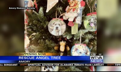 Amory Humane Society puts up Rescue Angel Tree