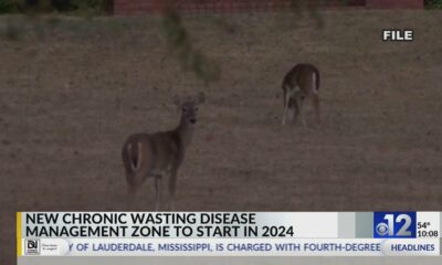 New Mississippi CWD management zone goes into effect in 2024