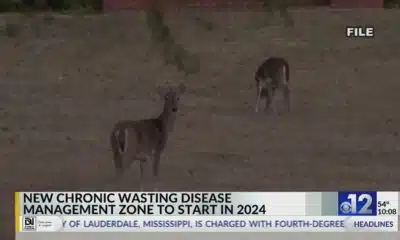 New Mississippi CWD management zone goes into effect in 2024